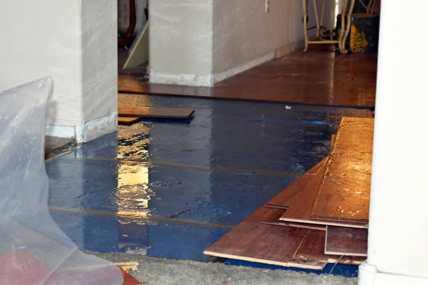 Professional Basement Flood Cleanup technician working in North Port, FL
